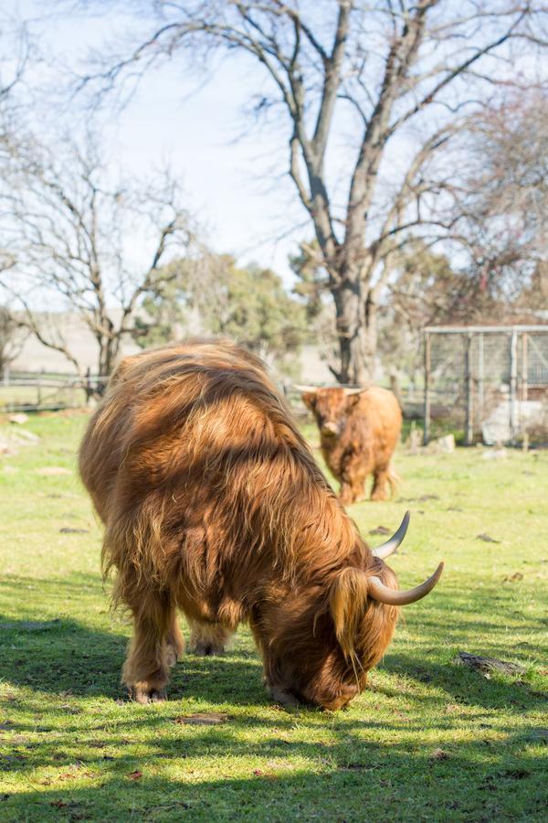 Ratho Farm Otel Bothwell Dış mekan fotoğraf