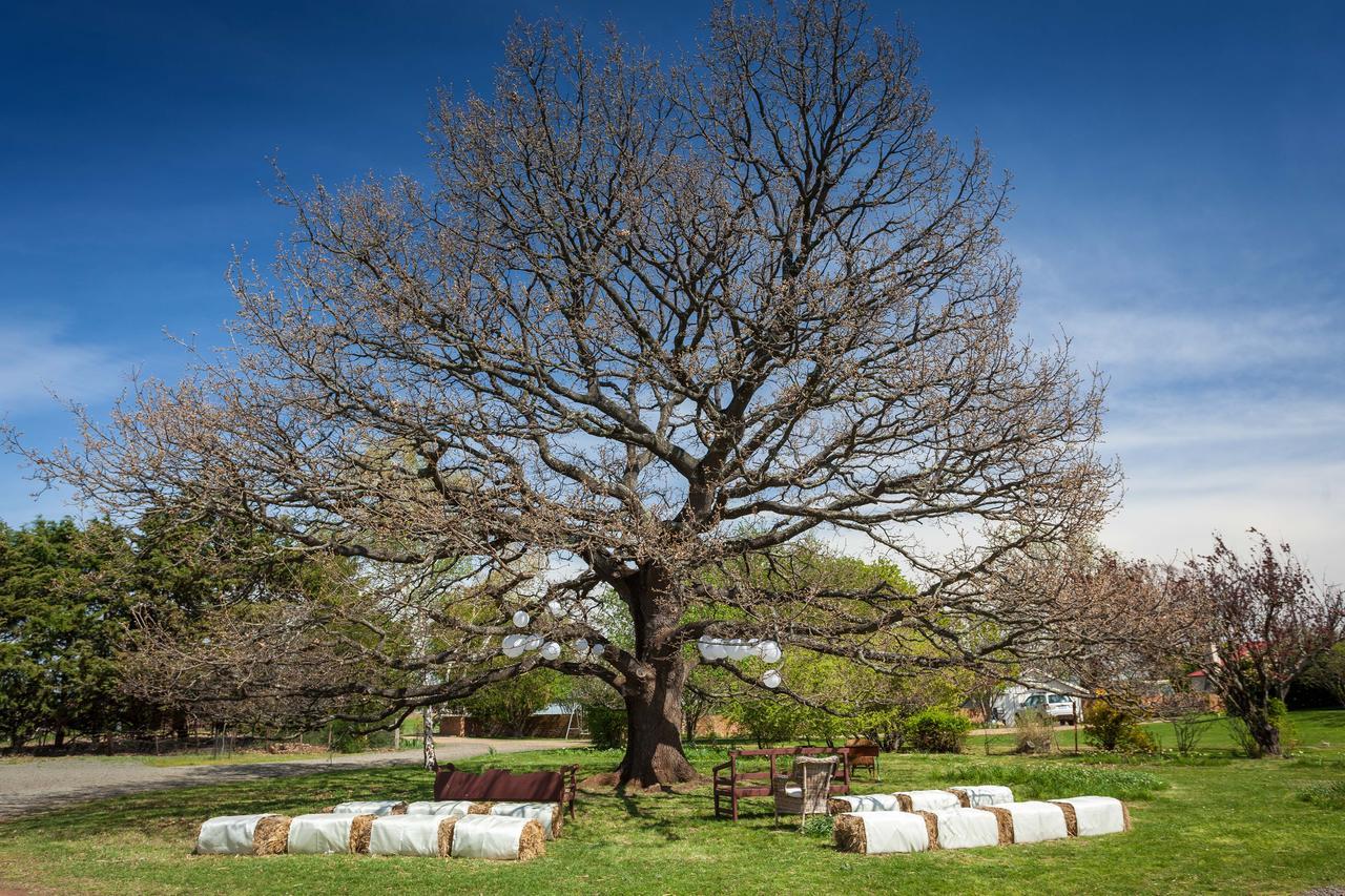 Ratho Farm Otel Bothwell Dış mekan fotoğraf