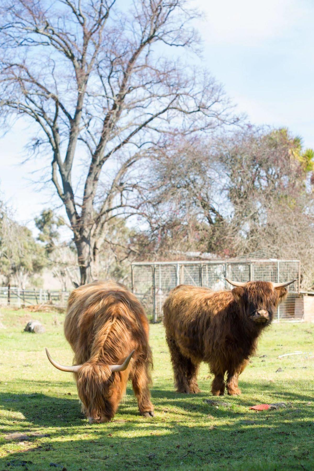 Ratho Farm Otel Bothwell Dış mekan fotoğraf